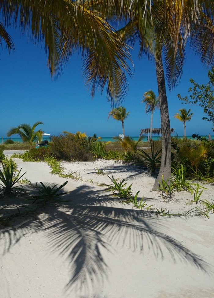 isladeholbox (1)